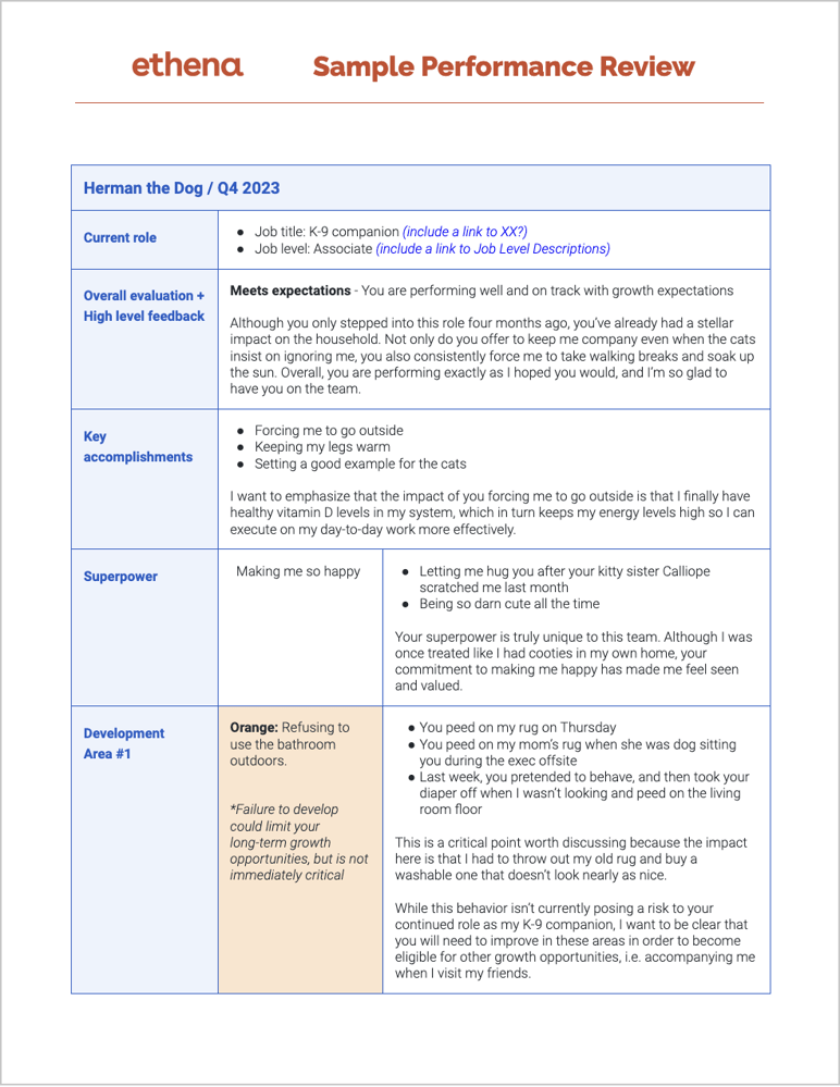 Superior Performance Review Examples Ethena | Sample Performance Review